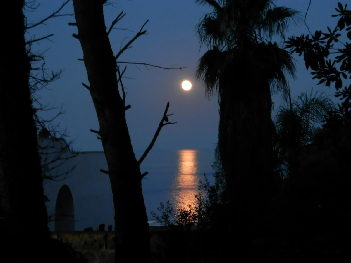 Agriturismo Salento D'arare *